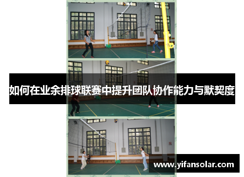 如何在业余排球联赛中提升团队协作能力与默契度