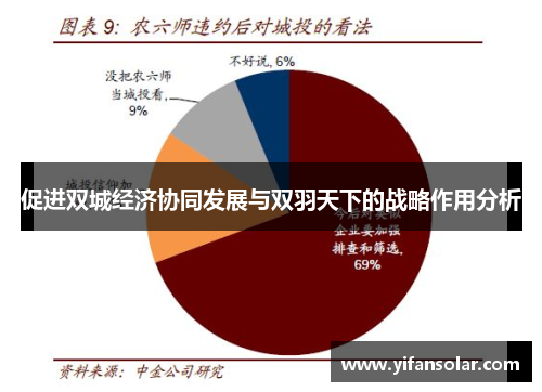 促进双城经济协同发展与双羽天下的战略作用分析